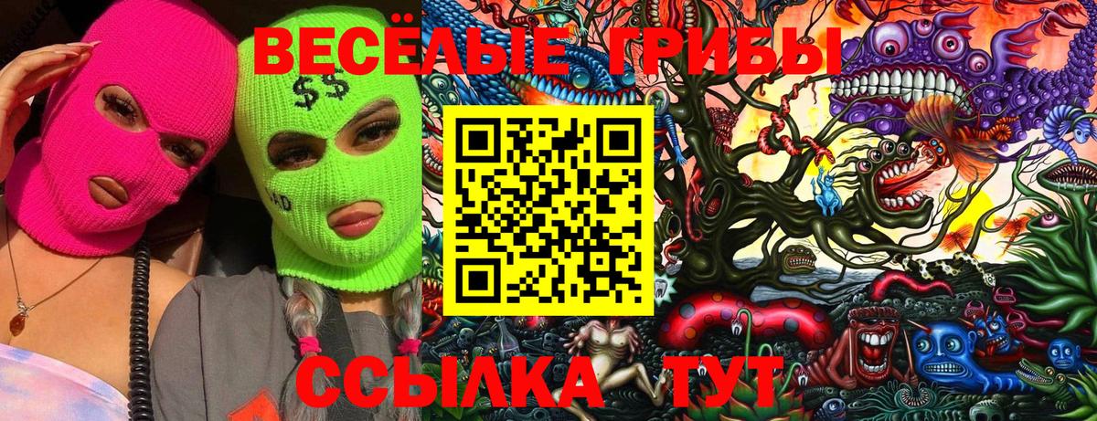 Псилоцибиновые грибы MAGIC MUSHROOMS  Вход с VPN  Нерюнгри  Галлюциногенные грибы MAGIC MUSHROOMS 