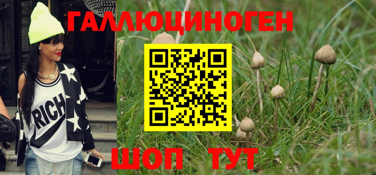 Галлюциногенные грибы Magic Shrooms Нерюнгри